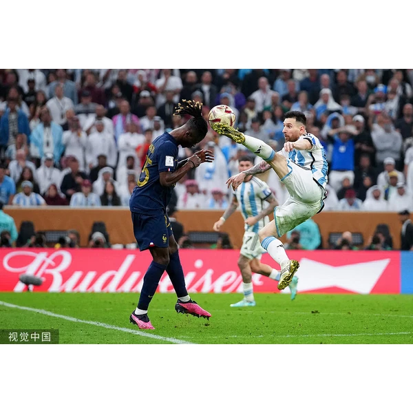 wolf-leyu-sport.com.cn APP